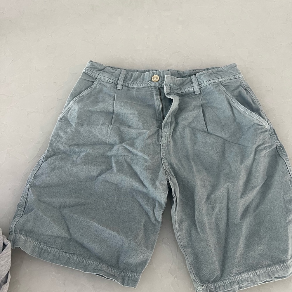 Zara Men's Light Blue Flat Front Shorts